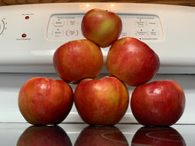 Load image into Gallery viewer, Apple Pie (Crumble Top)
